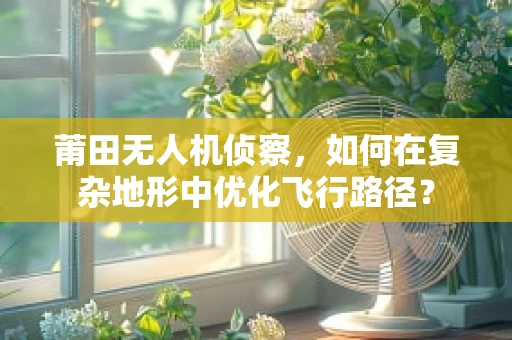 莆田无人机侦察，如何在复杂地形中优化飞行路径？