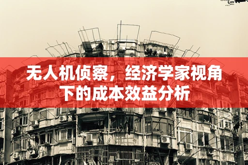 无人机侦察，经济学家视角下的成本效益分析