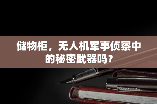 储物柜，无人机军事侦察中的秘密武器吗？