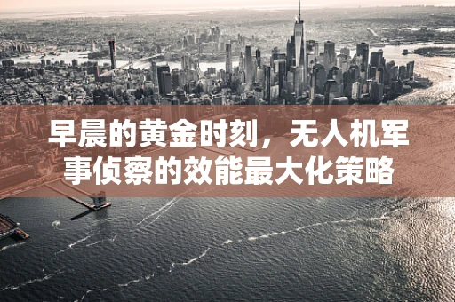 早晨的黄金时刻，无人机军事侦察的效能最大化策略