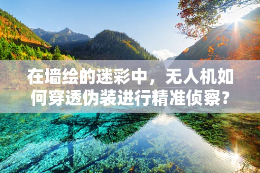 在墙绘的迷彩中，无人机如何穿透伪装进行精准侦察？