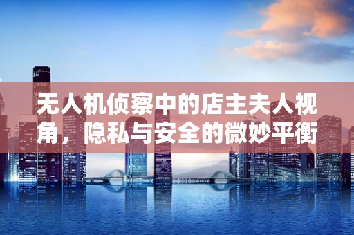 无人机侦察中的店主夫人视角，隐私与安全的微妙平衡