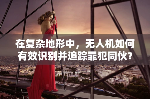 在复杂地形中，无人机如何有效识别并追踪罪犯同伙？