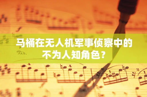 马桶在无人机军事侦察中的不为人知角色？