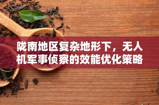 陇南地区复杂地形下，无人机军事侦察的效能优化策略是什么？