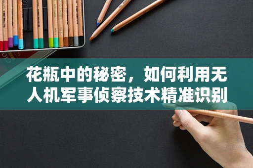 花瓶中的秘密，如何利用无人机军事侦察技术精准识别伪装目标？