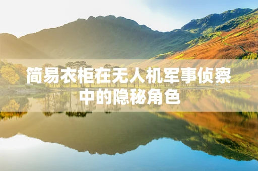 简易衣柜在无人机军事侦察中的隐秘角色
