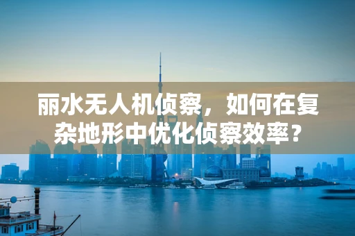 丽水无人机侦察，如何在复杂地形中优化侦察效率？