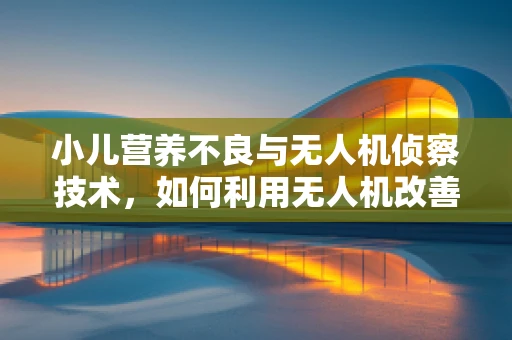 小儿营养不良与无人机侦察技术，如何利用无人机改善偏远地区医疗监测？