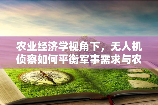 农业经济学视角下，无人机侦察如何平衡军事需求与农业生产？