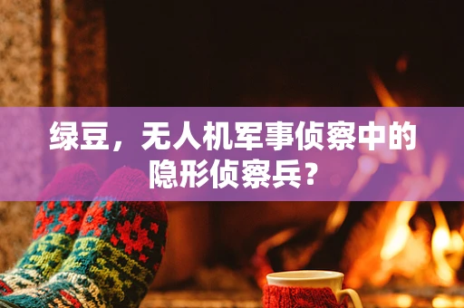 绿豆，无人机军事侦察中的隐形侦察兵？