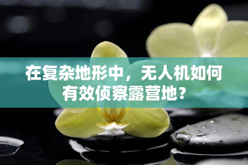 在复杂地形中，无人机如何有效侦察露营地？