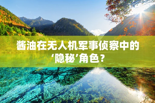 酱油在无人机军事侦察中的‘隐秘’角色？