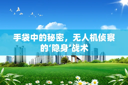 手袋中的秘密，无人机侦察的‘隐身’战术