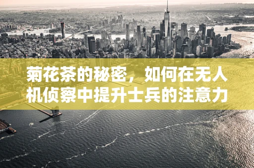 菊花茶的秘密，如何在无人机侦察中提升士兵的注意力与耐力？