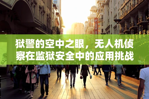 狱警的空中之眼，无人机侦察在监狱安全中的应用挑战