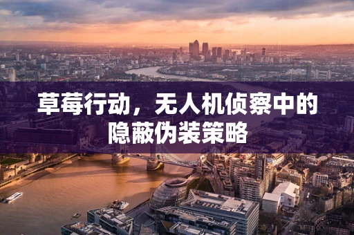 草莓行动，无人机侦察中的隐蔽伪装策略