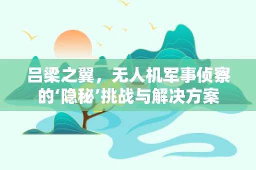 吕梁之翼，无人机军事侦察的‘隐秘’挑战与解决方案