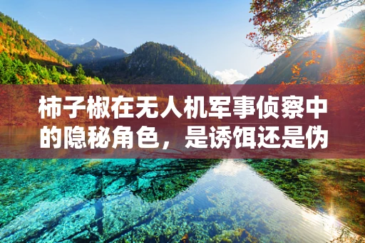 柿子椒在无人机军事侦察中的隐秘角色，是诱饵还是伪装？