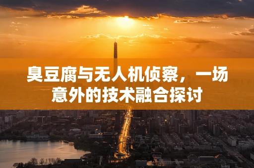 臭豆腐与无人机侦察，一场意外的技术融合探讨