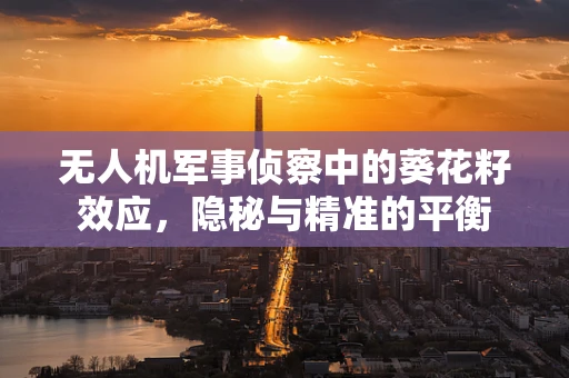 无人机军事侦察中的葵花籽效应，隐秘与精准的平衡