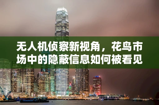 无人机侦察新视角，花鸟市场中的隐蔽信息如何被看见？
