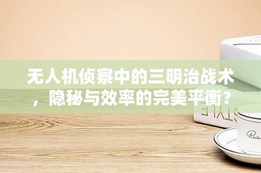 无人机侦察中的三明治战术，隐秘与效率的完美平衡？