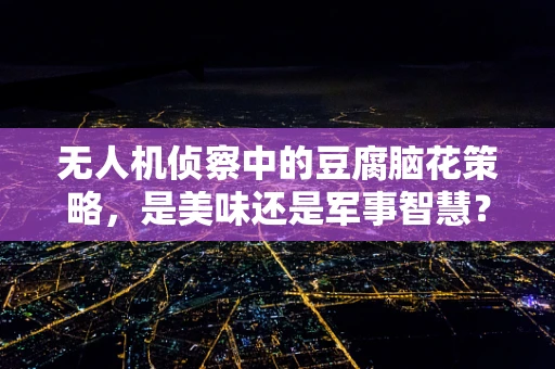 无人机侦察中的豆腐脑花策略，是美味还是军事智慧？