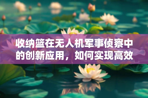 收纳篮在无人机军事侦察中的创新应用，如何实现高效与安全的结合？