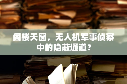 阁楼天窗，无人机军事侦察中的隐蔽通道？