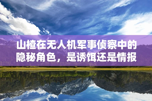 山楂在无人机军事侦察中的隐秘角色，是诱饵还是情报新利器？