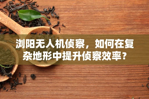 浏阳无人机侦察，如何在复杂地形中提升侦察效率？