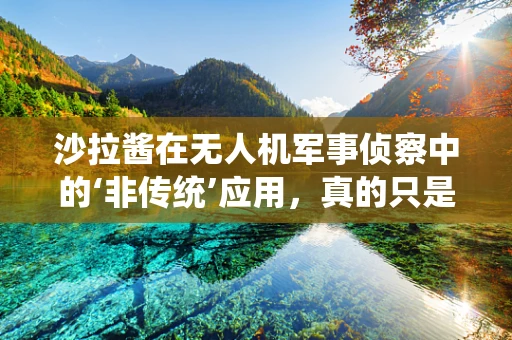 沙拉酱在无人机军事侦察中的‘非传统’应用，真的只是调味吗？