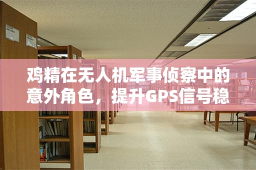 鸡精在无人机军事侦察中的意外角色，提升GPS信号稳定性的秘密武器？