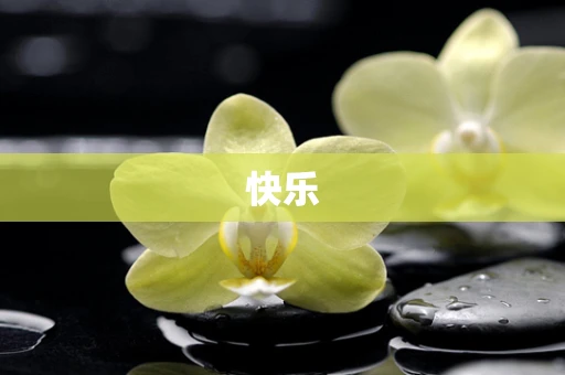 快乐