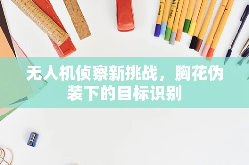 无人机侦察新挑战，胸花伪装下的目标识别