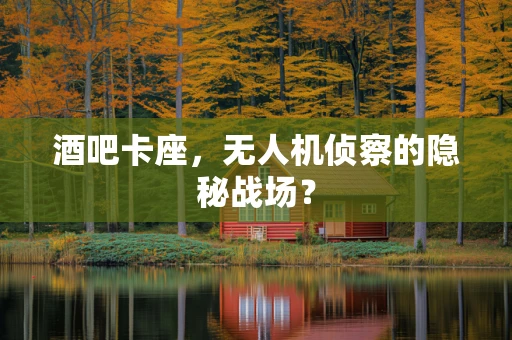 酒吧卡座，无人机侦察的隐秘战场？