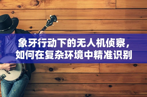 象牙行动下的无人机侦察，如何在复杂环境中精准识别目标？