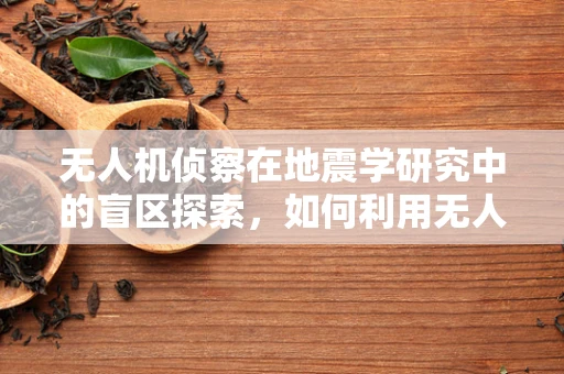 无人机侦察在地震学研究中的盲区探索，如何利用无人机填补地震监测的空白？