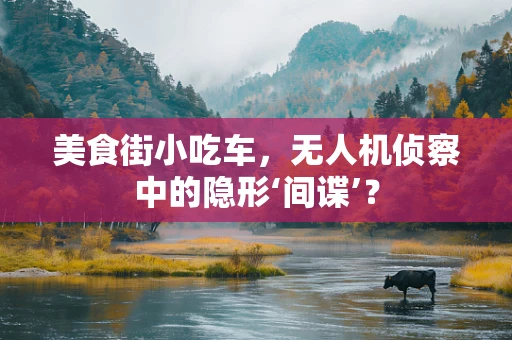 美食街小吃车，无人机侦察中的隐形‘间谍’？