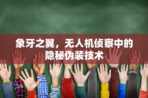 象牙之翼，无人机侦察中的隐秘伪装技术