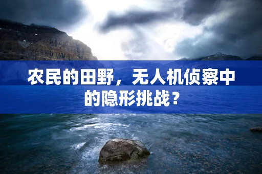 农民的田野，无人机侦察中的隐形挑战？