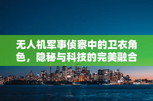 无人机军事侦察中的卫衣角色，隐秘与科技的完美融合？