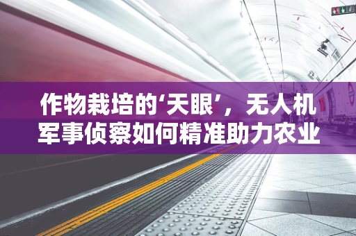 作物栽培的‘天眼’，无人机军事侦察如何精准助力农业监测？