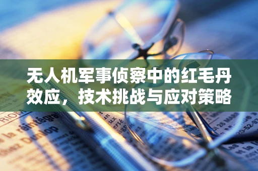 无人机军事侦察中的红毛丹效应，技术挑战与应对策略