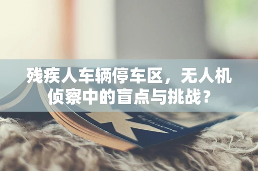 残疾人车辆停车区，无人机侦察中的盲点与挑战？