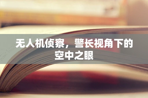 无人机侦察，警长视角下的空中之眼