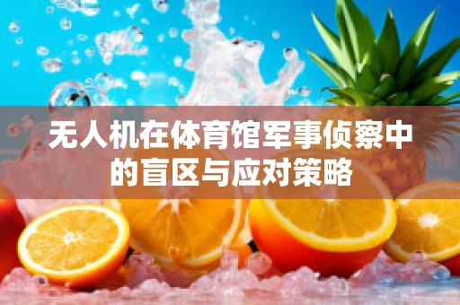 无人机在体育馆军事侦察中的盲区与应对策略