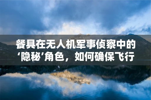 餐具在无人机军事侦察中的‘隐秘’角色，如何确保飞行中的安全进食？
