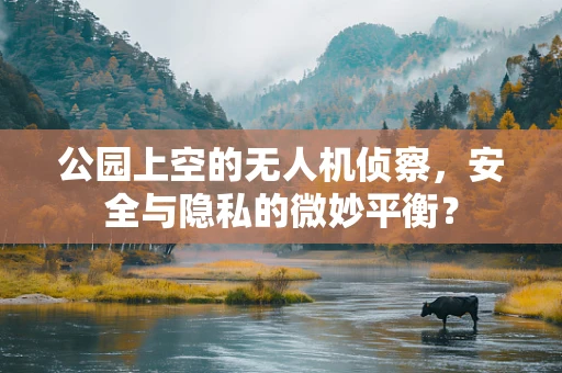 公园上空的无人机侦察，安全与隐私的微妙平衡？